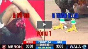 Trận 24 CPC3 31/05/2025