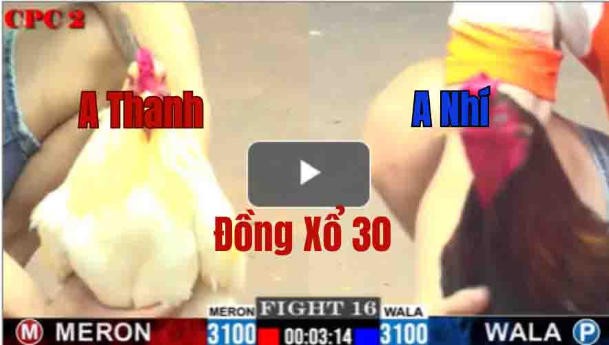 Trận 16 CPC2 4/6/2025