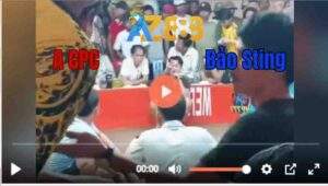 Trận 6 21/06/2025